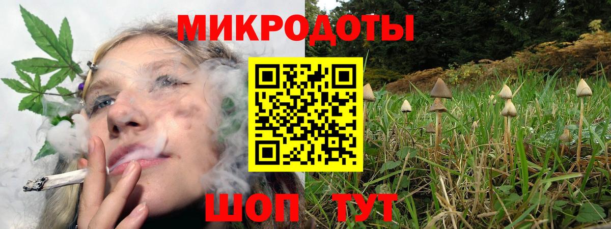 Семёнов  Галлюциногенные грибы Psilocybine cubensis  Вход с VPN 