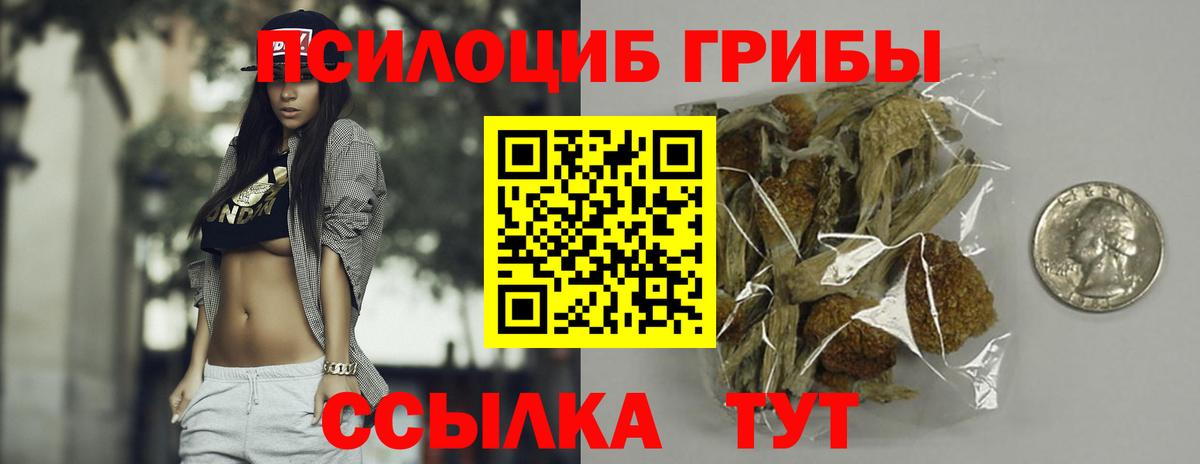 Псилоцибиновые грибы прущие грибы Семёнов